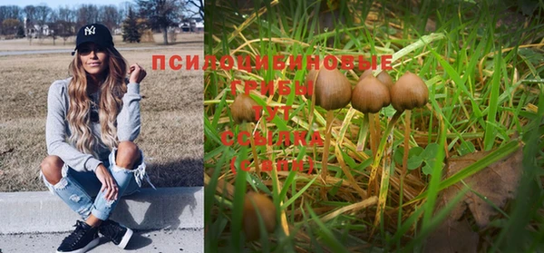 круглые Алексин