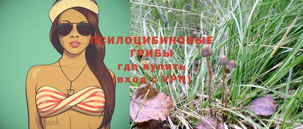 круглые Алексин