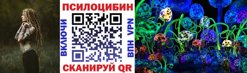 Галлюциногенные грибы мицелий  Купить закладки  Бологое 